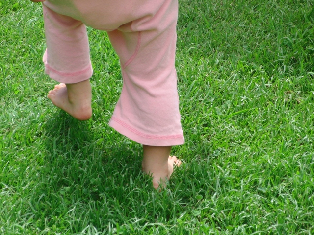 赤ちゃん芝生歩く