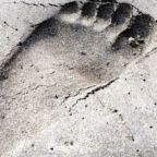 指が自由に動いて快適です（F.Yさま～体験会のご感想より）