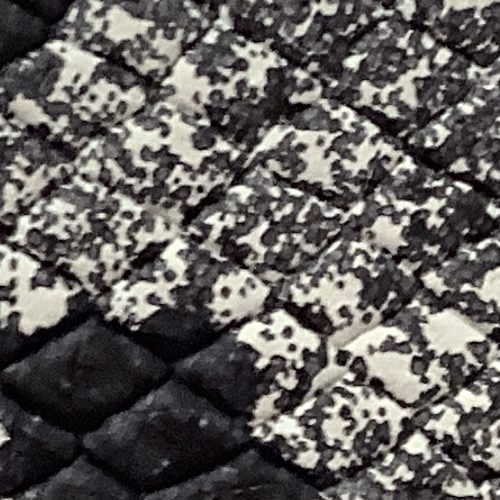 2603：GYパイソン