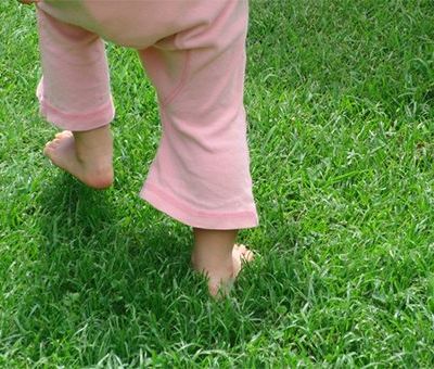 赤ちゃんのあんよ